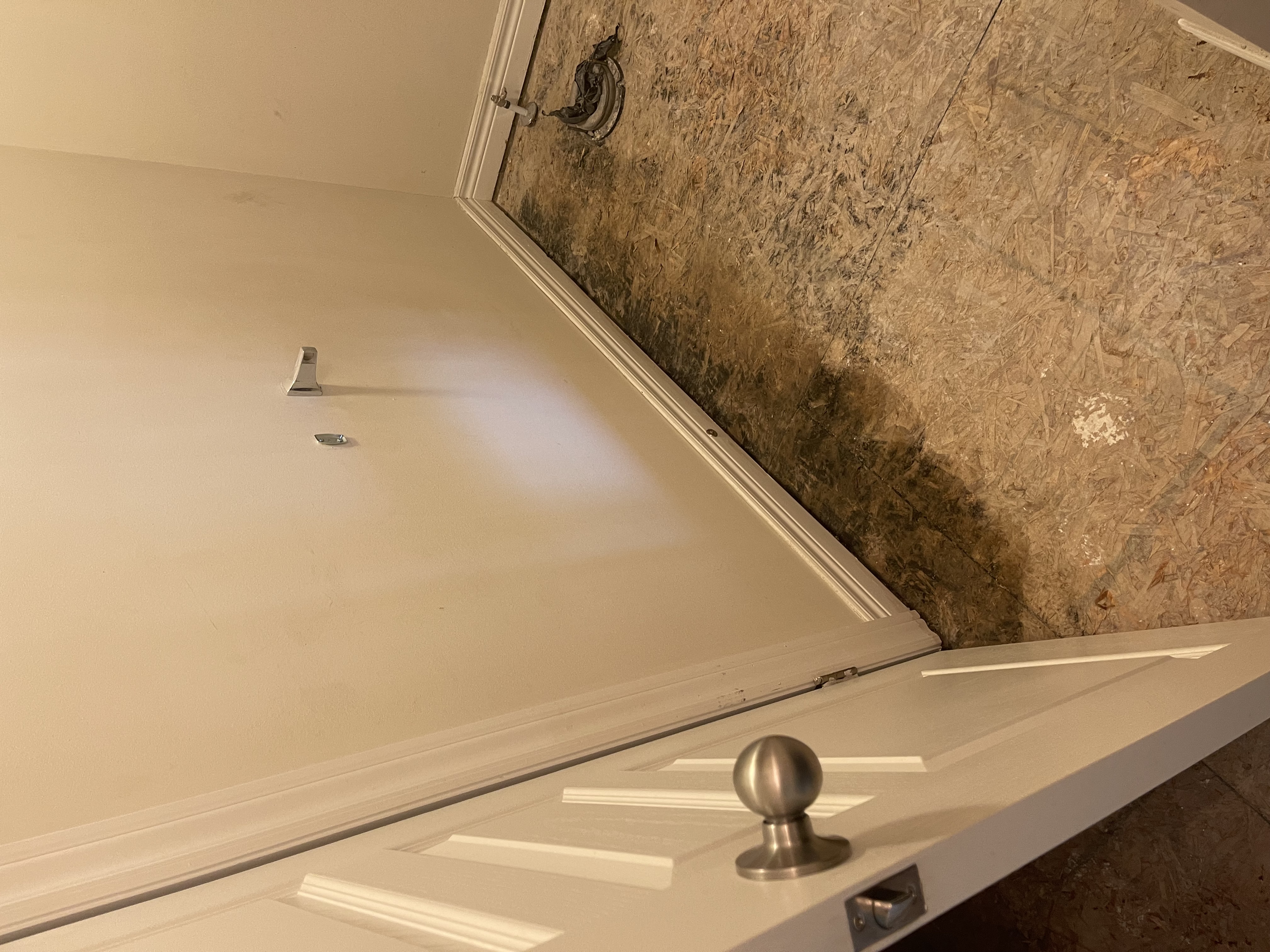 Dramatic water damage and mold documentation creates powerful before/after transformation story potential — Stonehenge, Hamilton | MTC Renovations