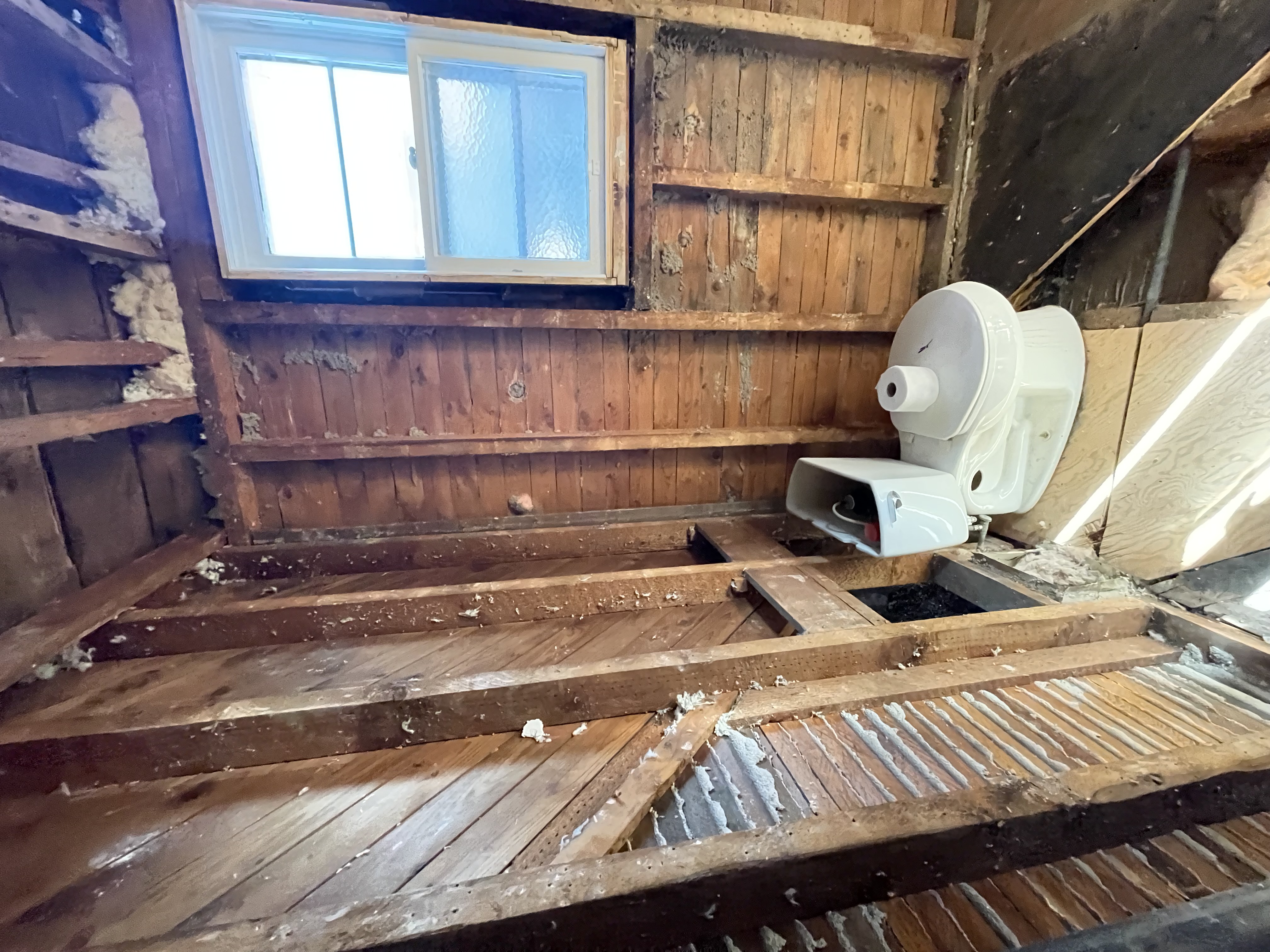 Dramatically deteriorated bathroom with exposed framing and mold damage - exceptional before/after storytelling potential — Rosedene, Hamilton | MTC Renovations